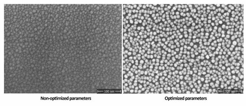 SEM-images-of-Ag-nanoparticles